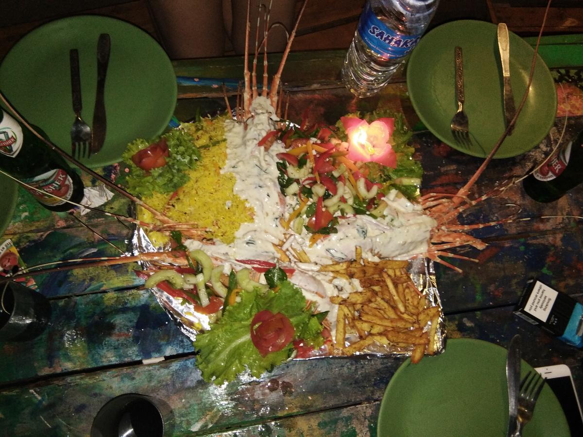 Rasta Mansion Beach Hostel And Rooms Arambol Exteriör bild